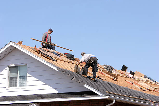 Best Roof Maintenance and Cleaning  in Largo, FL